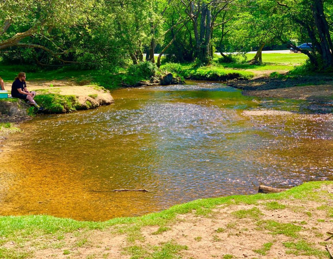 Forest Haven Sway Bagian luar foto