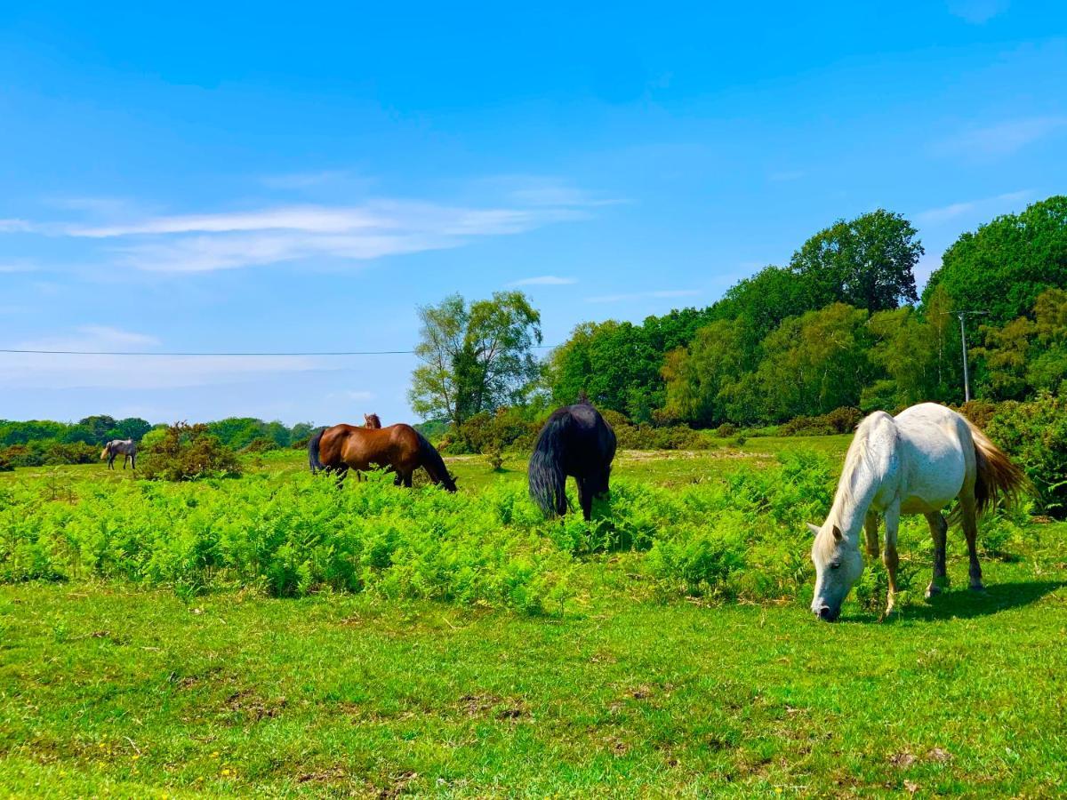 Forest Haven Sway Bagian luar foto