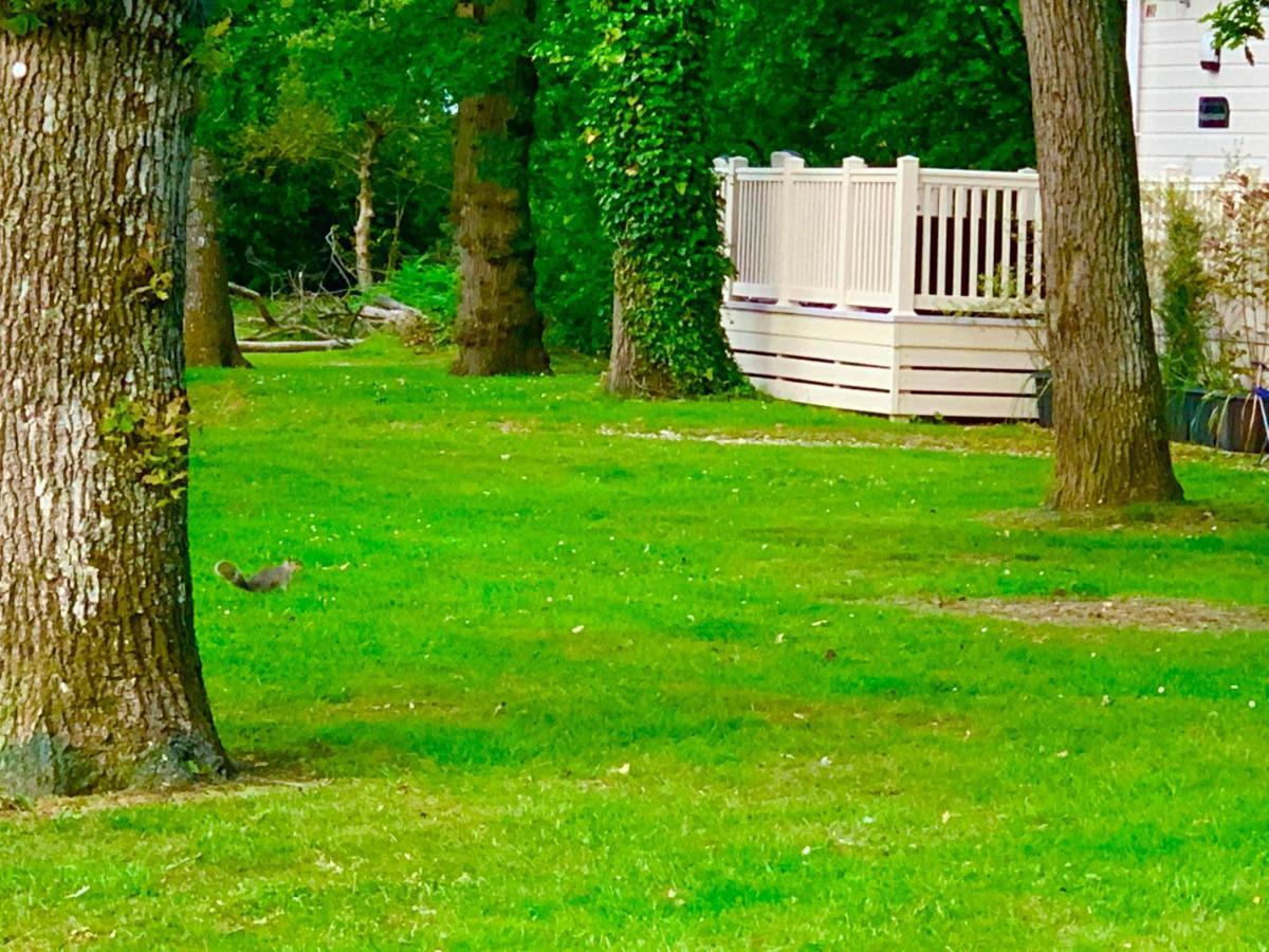 Forest Haven Sway Bagian luar foto