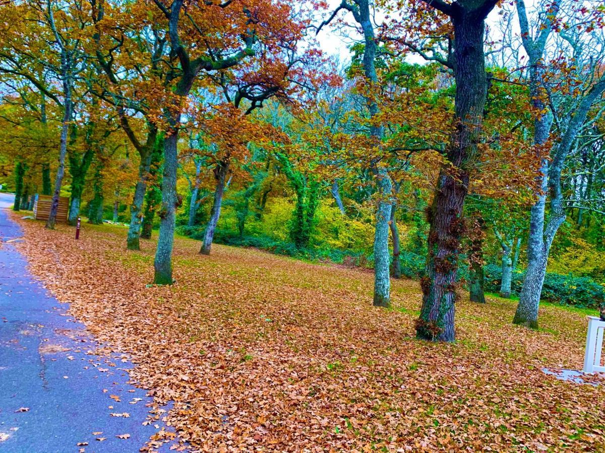 Forest Haven Sway Bagian luar foto