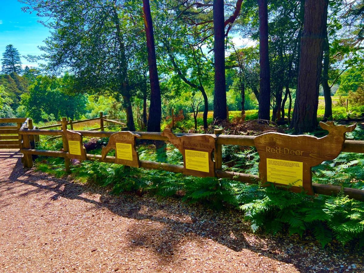 Forest Haven Sway Bagian luar foto